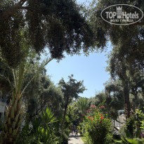 фото из отзыва ID 2722108