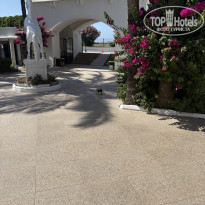 фото из отзыва ID 2722108