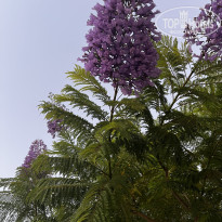 фото из отзыва ID 2722147