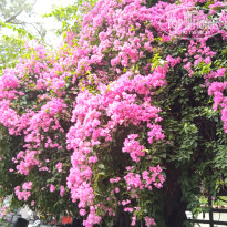 фото из отзыва ID 2722338