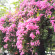 фото из отзыва ID 2722338
