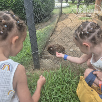 фото из отзыва ID 2722357