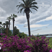 фото из отзыва ID 2722357