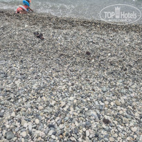 фото из отзыва ID 2722357