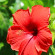 фото из отзыва ID 2722498