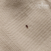 фото из отзыва ID 2722532