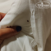 фото из отзыва ID 2722532