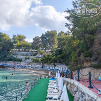 фото из отзыва ID 2721509