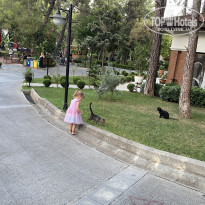 фото из отзыва ID 2722640