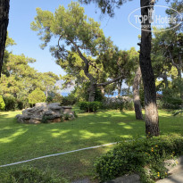 фото из отзыва ID 2722640