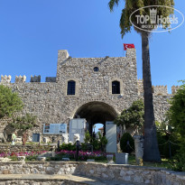 фото из отзыва ID 2722640