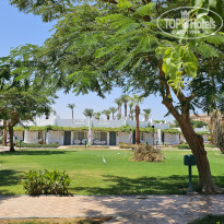 фото из отзыва ID 2722668