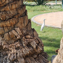 фото из отзыва ID 2722668