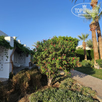 фото из отзыва ID 2722668