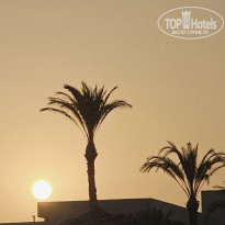 фото из отзыва ID 2722668