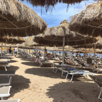 фото из отзыва ID 2722675