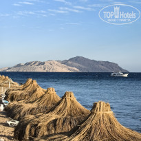 фото из отзыва ID 2722675