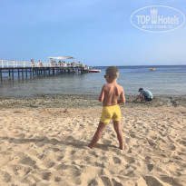 фото из отзыва ID 2722675