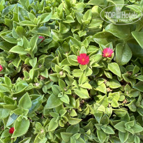 фото из отзыва ID 2722677