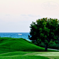 фото из отзыва ID 2722359