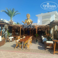 фото из отзыва ID 2722767