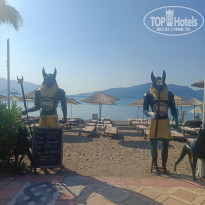 фото из отзыва ID 2722767