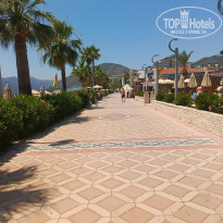 фото из отзыва ID 2722767