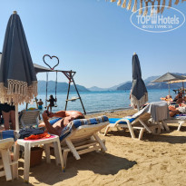 фото из отзыва ID 2722767