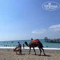 фото из отзыва ID 2722770