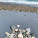 фото из отзыва ID 2722791