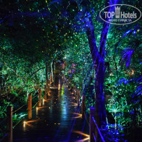 фото из отзыва ID 2722810