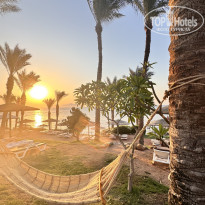 фото из отзыва ID 2722773