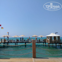 фото из отзыва ID 2722913