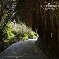 фото из отзыва ID 2722924