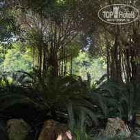 фото из отзыва ID 2722924