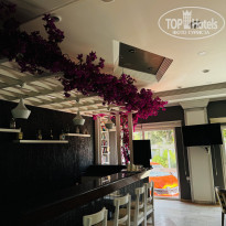 фото из отзыва ID 2722928