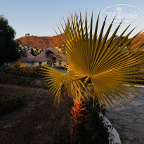 фото из отзыва ID 2722928