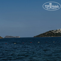 фото из отзыва ID 2722928