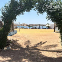 фото из отзыва ID 2722942