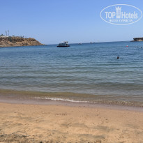 фото из отзыва ID 2722942