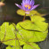 фото из отзыва ID 2722959
