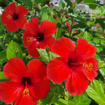 фото из отзыва ID 2722980