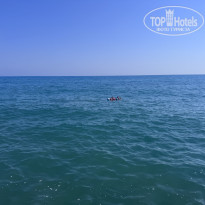 фото из отзыва ID 2723024