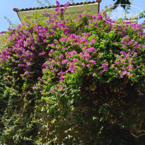 фото из отзыва ID 2723006