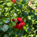 фото из отзыва ID 2723006