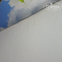 фото из отзыва ID 2723061