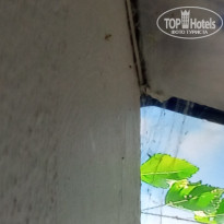 фото из отзыва ID 2723061