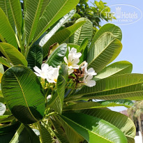 фото из отзыва ID 2723046