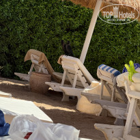 фото из отзыва ID 2723002