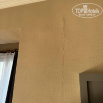 фото из отзыва ID 2723093